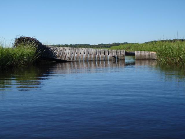 P9070185.JPG