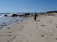 P9070149.JPG