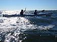 P9070186b.jpg