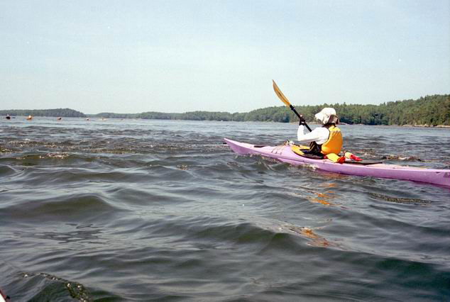 July1706_amc_28.jpg