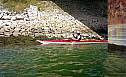 July3007_amc_16.jpg