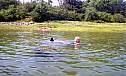 July3007_amc_17.jpg
