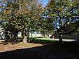 P9110197.JPG