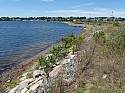 P8210324.JPG