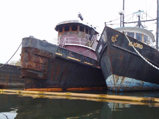 P8300058.JPG