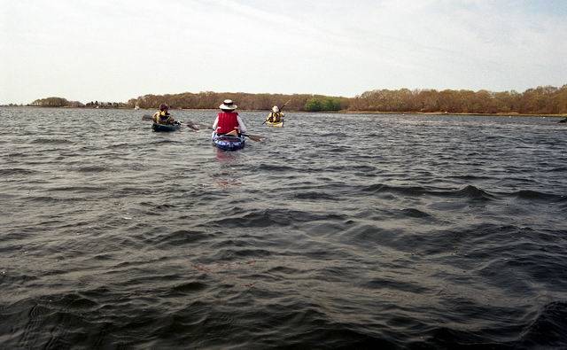 May1207_saltpond_04.jpg
