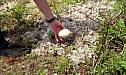May1207_saltpond_16.jpg