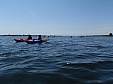 P5160130.JPG