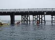 P5160150.jpg