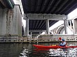 P5210005.JPG