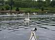 P5210020.JPG