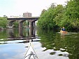 P5210028.JPG