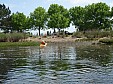P5210067.JPG