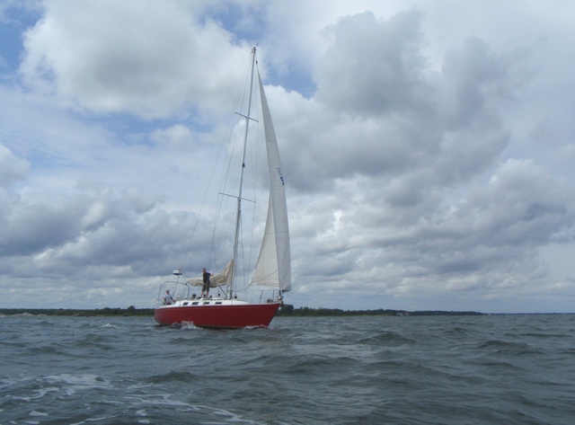 P8150080.jpg