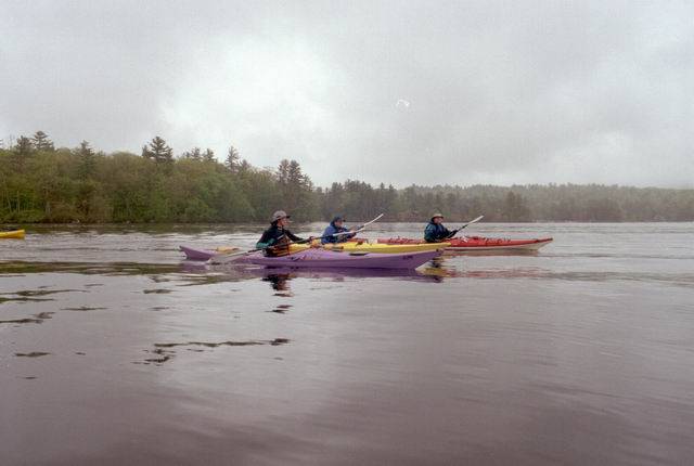 May2403_amc_05.jpg