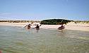 great_island_10.jpg