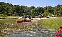 great_island_17.jpg