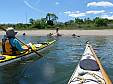 P6220300.JPG