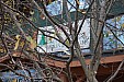 69-DSC01185.JPG