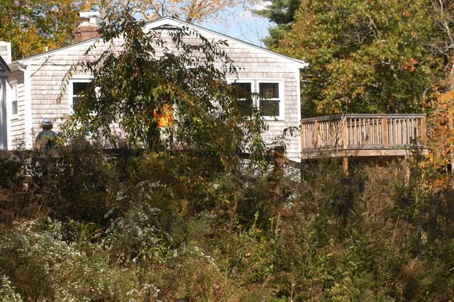06_AMCWS06130.JPG