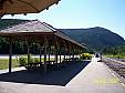 100_1236.JPG