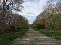 Country Road.jpg