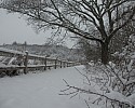 Fresh Snowfall.jpg