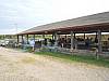spring_fling06_04.JPG