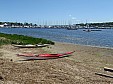 P5300096.jpg