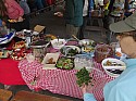 14-P5222441.JPG