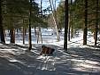xc-skiing_14.JPG
