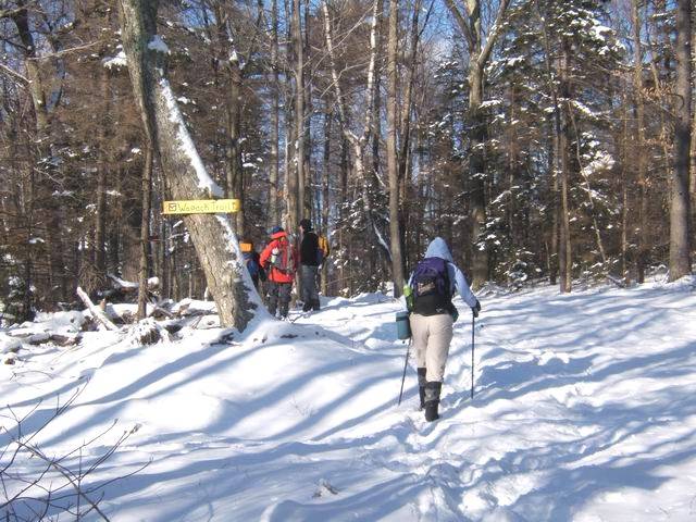 Feb0307_amc_20.jpg
