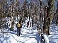 Feb0407_amc_35.jpg
