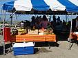 bluetrail_082208_04.JPG