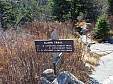 DSC05437.jpg