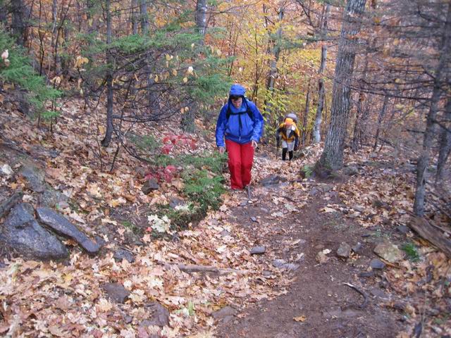 IMG_2414.jpg