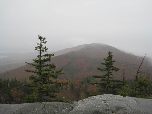 IMG_2421.jpg