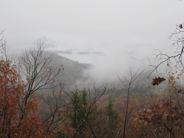 IMG_2441.jpg
