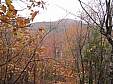 IMG_2412.jpg