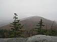 IMG_2421.jpg