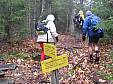 IMG_2425.jpg