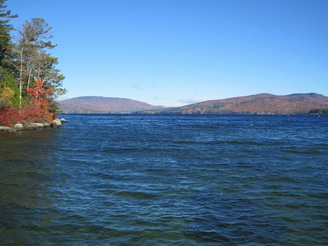 IMG_2331.jpg