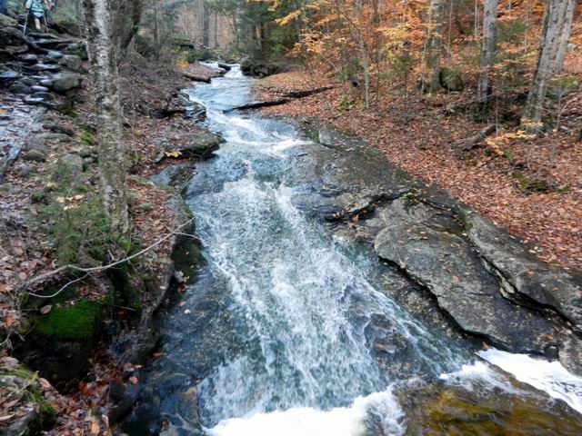 DSCN0518.JPG