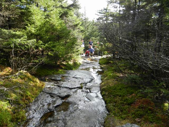 DSCN1518.JPG