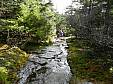 DSCN1518.JPG