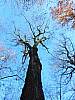 DSCN1535.JPG
