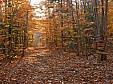 DSCN1544.JPG