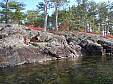 PA200078.JPG