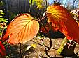 10-DSCN1572.JPG