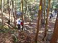11-PA210138.JPG